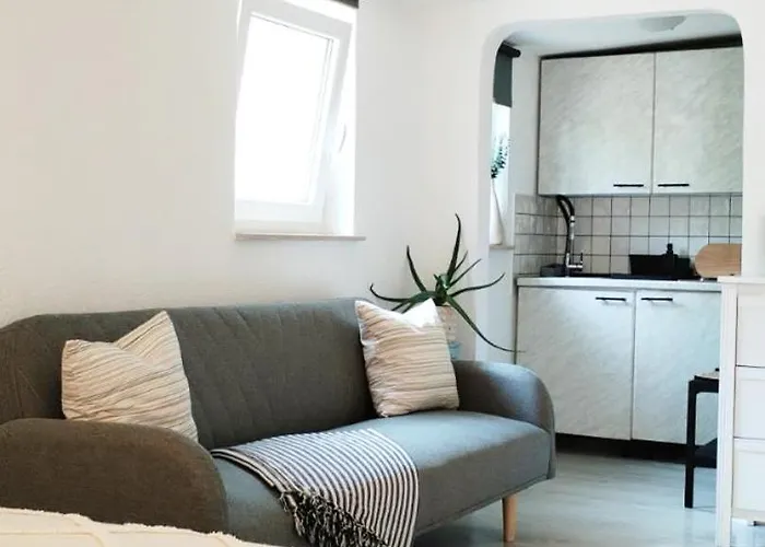 Bono Apartman Šmrika